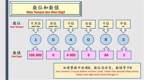 算珠的数位和数值